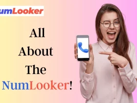 What is NumLooker and How to Use it